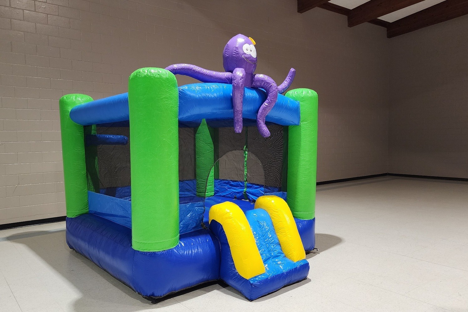 Octopus Bounce House With Slide outdoor backyard rental Ottawa Ontario